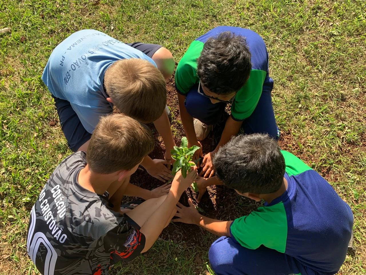 Imagem do artigo: UHE Baixo Iguaçu celebra o Dia da Árvore com ações de educação ambiental